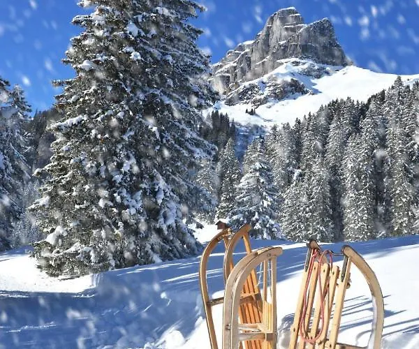 Allod Park Haus C 704 By Interhome 公寓 达沃斯